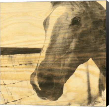 Framed Portrait of a Horse Print