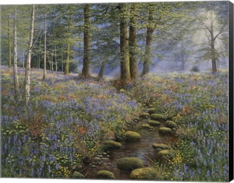 Framed Bluebell Wood Print