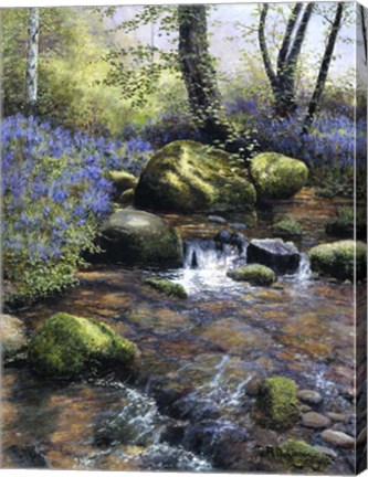 Framed Shallow Brook Print