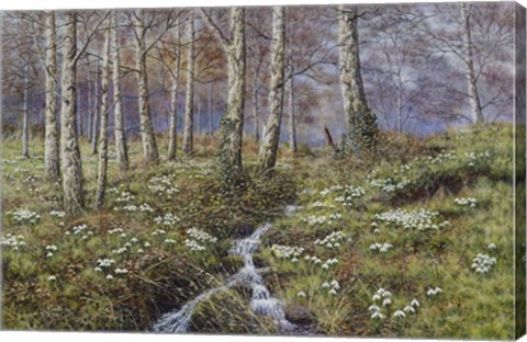 Framed Snowdrop Dell Print
