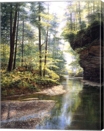 Framed Quiet Forest Print