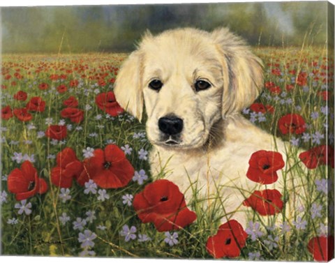 Framed Puppy And Poppies Print