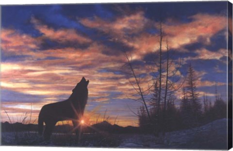 Framed Sky Wolf Print