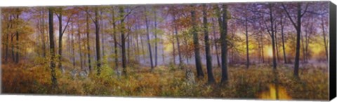Framed Autumn Wolves Print