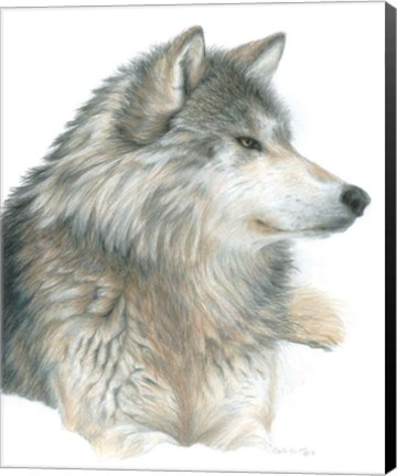Framed Wolf Print