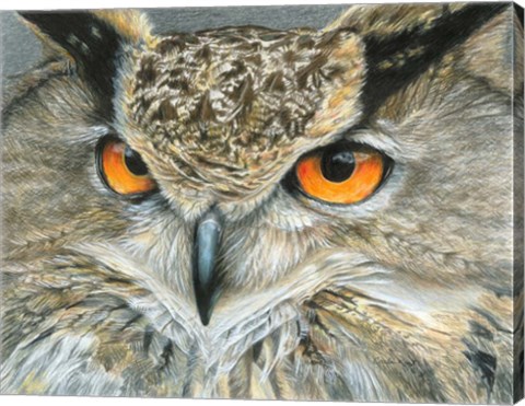 Framed Orange-Eyed Owl Print