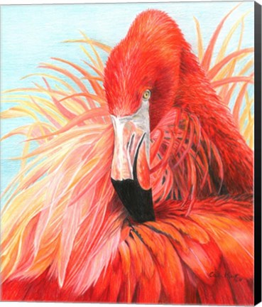 Framed Red Flamingo Print