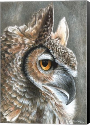 Framed Sepia Owl Print
