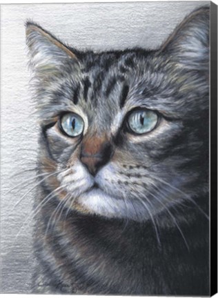 Framed Cat Portrait Print