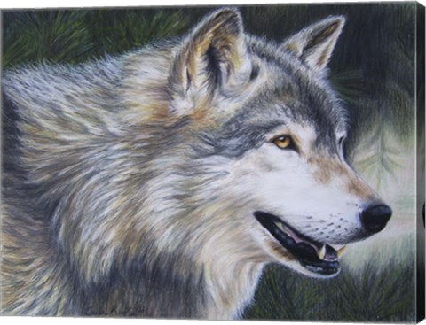 Framed Timber Wolf Dark Print
