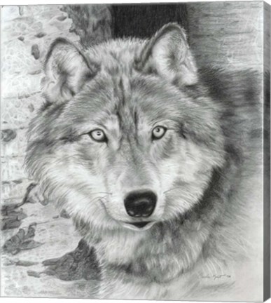 Framed Watchful Eyes Print