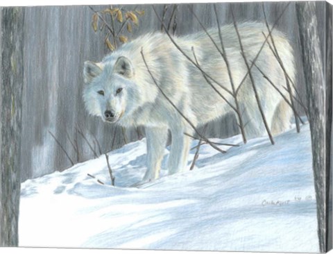 Framed Winter Wolf Print