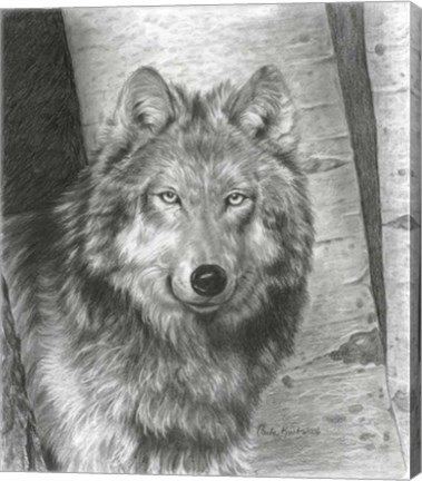 Framed Wise Eyes Print