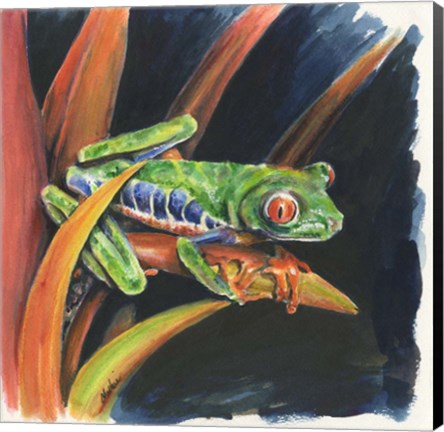 Framed Costa Rican Leaping Frog Print