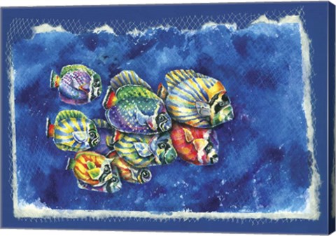 Framed Fish In Net Print