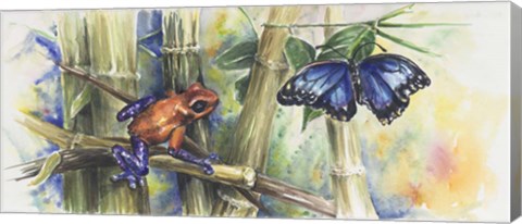 Framed Blue Morpho Print