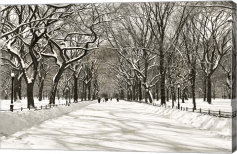 Framed Poets Walk Print