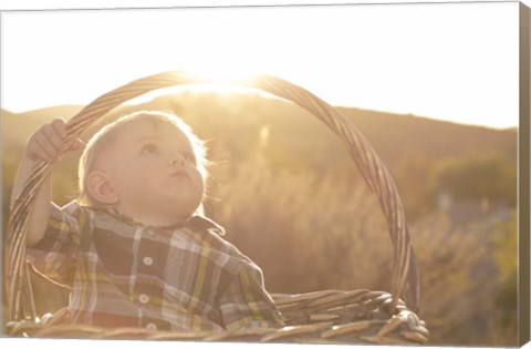 Framed Basket Burst Print