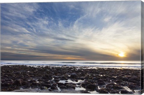 Framed Beholding Print