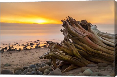 Framed Driftwood Sunset Print