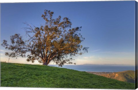 Framed Island View Print