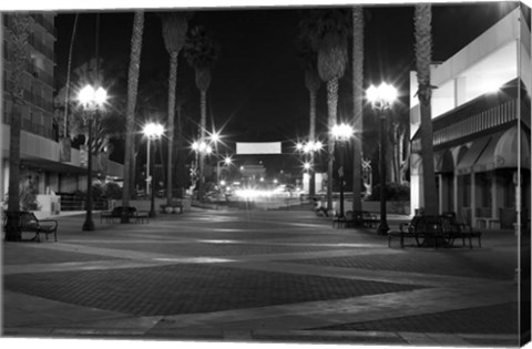 Framed Light My Way Print