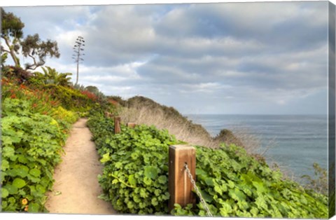 Framed La Jolla Walk Print