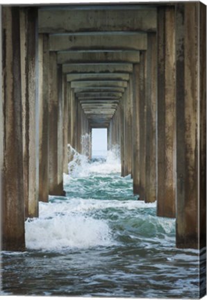 Framed Scripps Splash Print