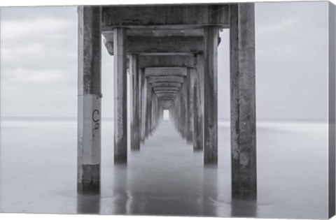 Framed Smoothing Scripps Print