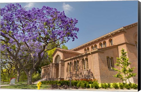 Framed USC University Club Print