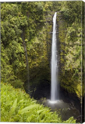 Framed Akaka Falls Print