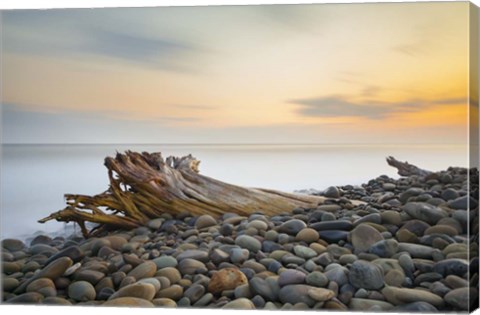 Framed Covered Print