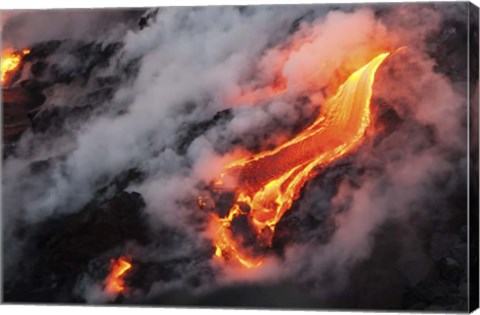 Framed Dragon's Tongue Print