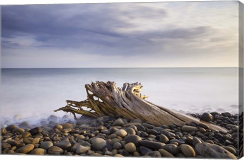 Framed Stumped Print