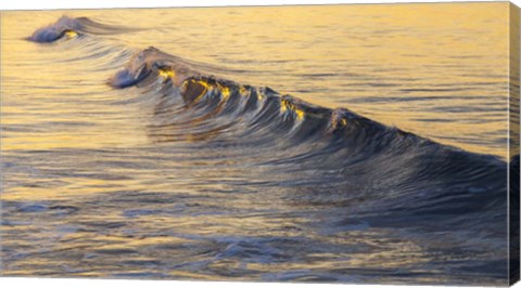 Framed Warm Curl Print