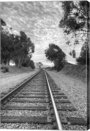 Framed On The Right Track Print