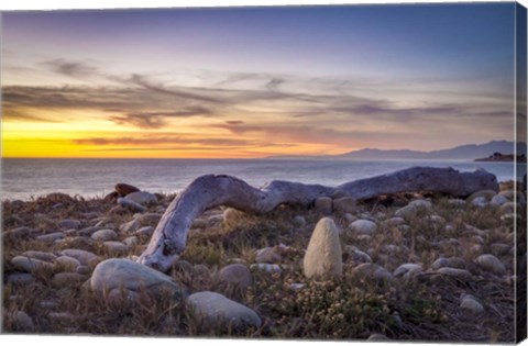 Framed Driftwood January Print