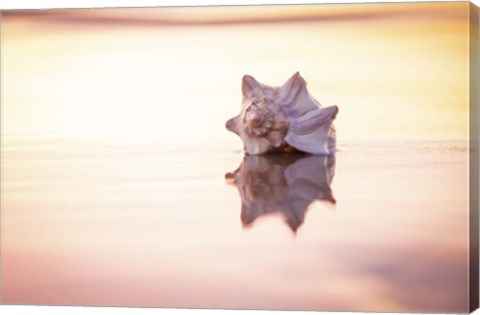 Framed King of the Beach Print