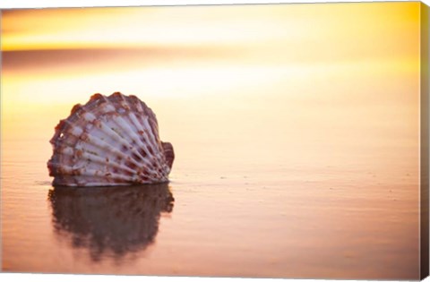 Framed Battered But Beautiful Print