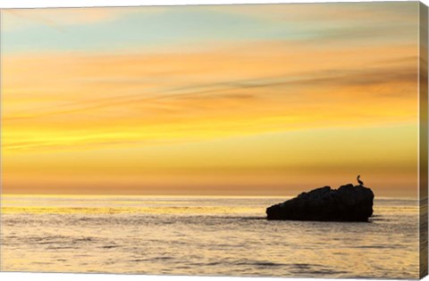 Framed Pelican Sunrise Print