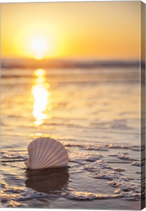 Framed Pop The Bubbly Print