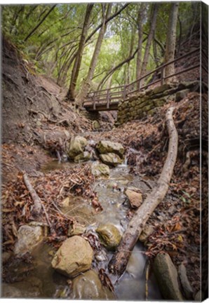 Framed Lower Nojoqui Falls Print