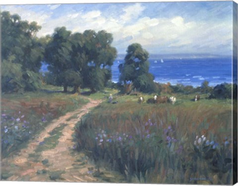 Framed Pathway To The Sea Print