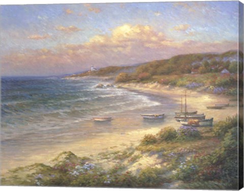 Framed Moored on the Beach Print