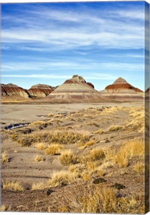 Framed Arizona Painted Sky II Print