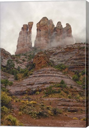 Framed Sedona Vertical Print