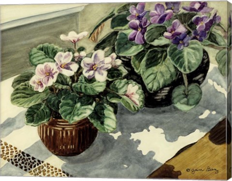 Framed African Violets Print