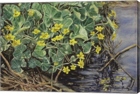 Framed Marsh Marigolds Print