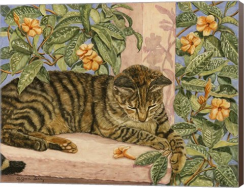 Framed Caribbean Cat Print