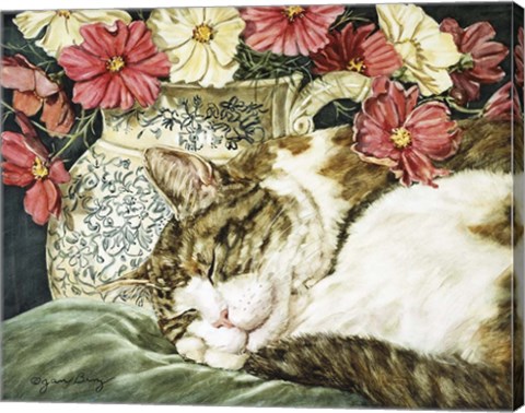 Framed Cosmos Dreams Print